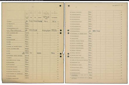 Entnazifizierung Heinrich Hoppe , geb. 10.01.1906 (Musiker)