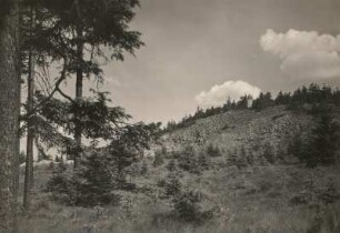 Kahleberg. Gipfel mit Steinbruch. Ansicht von Norden