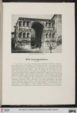 XVII: Janus Quadrifrons