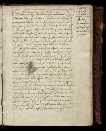 [Richardus <Anglicus>(?)]: Correctorium fatuorum