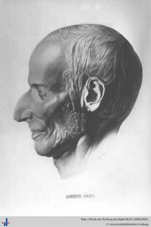 Nachlass L. Oken (NL 45/A8) : Lithographie der Totenmaske von Lorenz Oken
