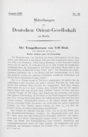 Die Tempelterrasse von Tell Barak