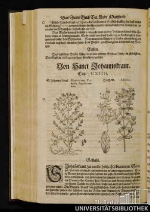 Cap. CXIIII. Von Sanct Johannskraut.