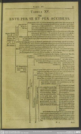 Tabula XV. De Ente Per Se Et Per Accidens