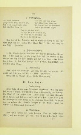 10. Das Schaf