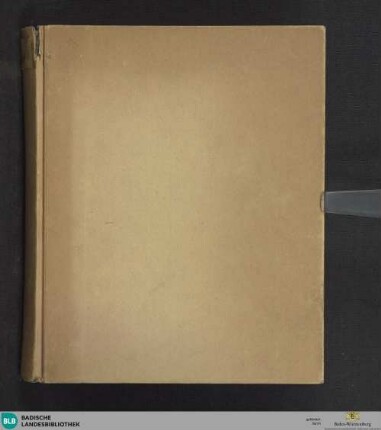 Philosophia eclectica (Logica, Metaphysica, Physica) - Cod. Ettenheim-Münster 240