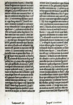 Liber Viaticus des Johann von Neumarkt