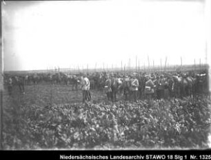 Manöver des 10. Armee-Korps Enthält: Platte 9, Soldaten zu Fuß und angepflockte Pferde