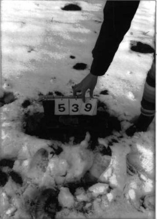 Grabstein 539