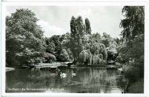 Geithain. Schwanenteich im Stadtpark