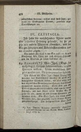 IV. Crustacea