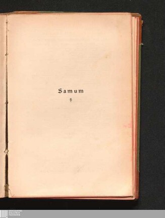 Samum : Novelle