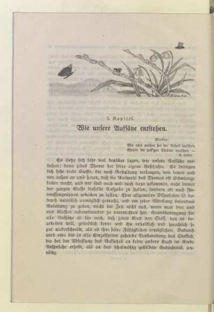 5. Kapitel. Wie unsere Aufsätze entstehen.