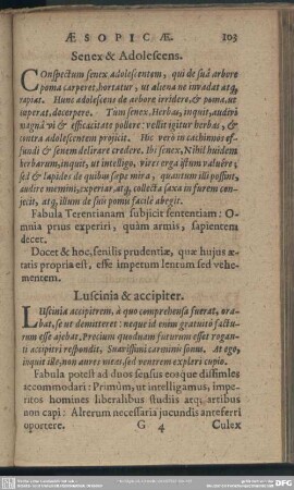 Luscinia & accipiter