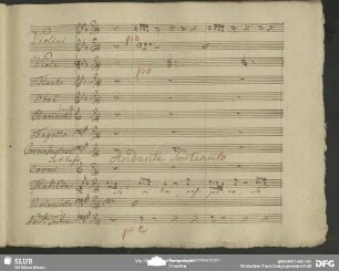Cavatina: "Se vita respiro se l'alma"