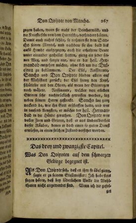 Das drey und zwanzigste Capitel. Was Don Qvixoten auf dem schwarzen Gebirge begegnet ist.