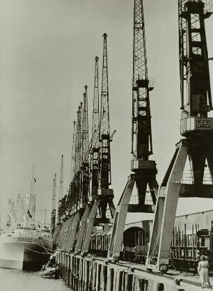 Hamburg, im Freihafen