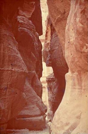 Petra Sik