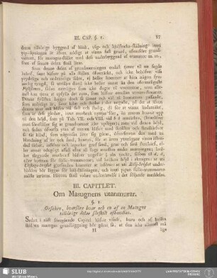 III. Capitlet. Om Masugnens utanmurar