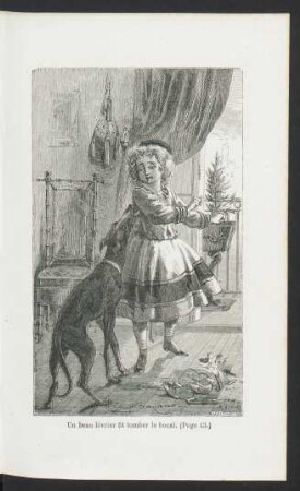 Tafel: Un beau lévrier fit tomber le bocal. (Page 43.)