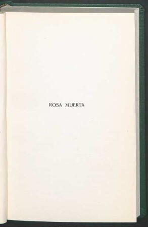 Rosa muerta