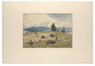 Schwarzwaldlandschaft