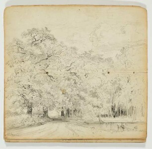 Waldweg