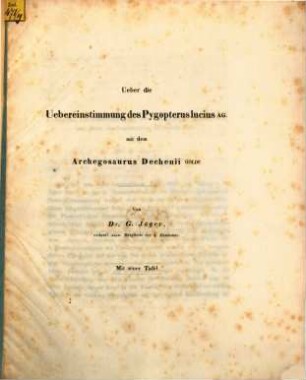 Ueber die Uebereinstimmung des Pygopterus lucius AG. mit dem Archegosaurus Dechenii Goldf.