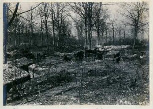 Foto von französischen Gräben im Wald von Ville (-devant-Chaumont)