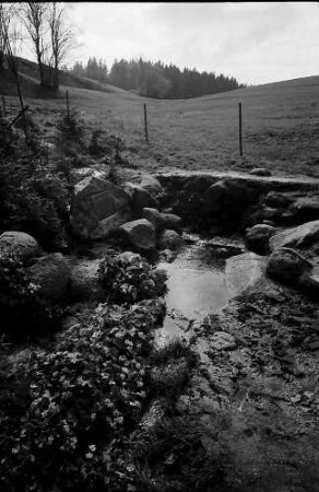 Der Donauursprung (Bregquelle) an der Martinskapelle bei Furtwangen