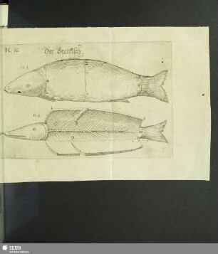 Der Bratfisch