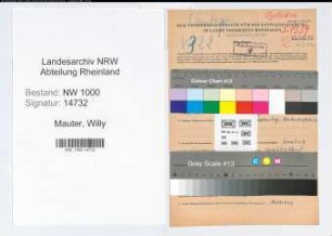 Entnazifizierung Willy Mauter, geb. 02.07.1910 (Maschinist)