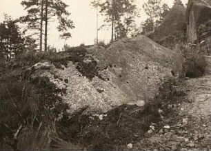 Zittauer Gebirge. Harnisch im Sandstein am Wege Oybin-Töpfer