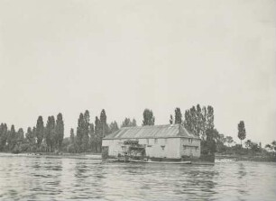 Ginsheimer Schiffsmühle/Rhein
