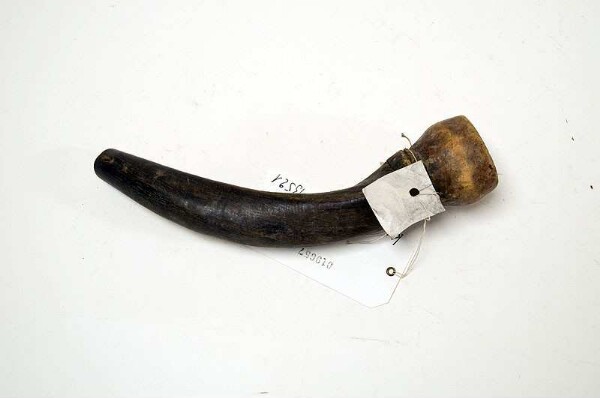 Cow horn (wind instrument and for hashish)