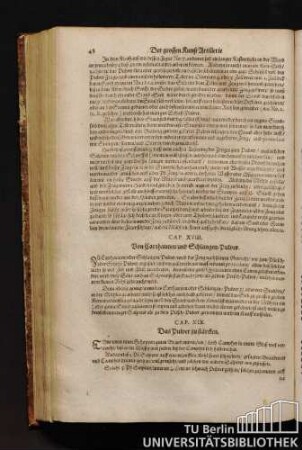 Cap. XIX. Das Pulver zu stärcken.