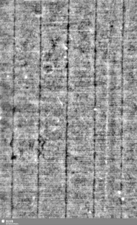 Reiter / NH = Bd.2 Vorsatzblatt (Falz)