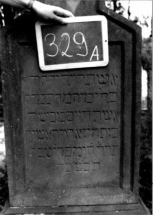 Grabstein 329 (Index: 100111960) Material: Sandstein Zustand: leicht verwittert Maße HxBxT: 153x51x19 cm Beschreibung: Stele, profilierter Sockel, Abschluß: Sonderform, rechteckiges Schriftfeld eingetieft Symbolik: Blüte: Grabstein 329A