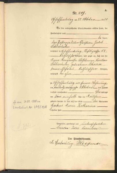 Standesamtsbuch der Stadt Aschaffenburg: Geburten 365/1900 - 184/1901