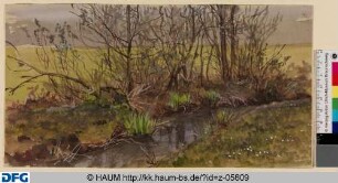 Bachlauf