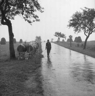 Grenzübergang Wartha/Herleshausen. Grenzanlage. Bauer mit Tieren