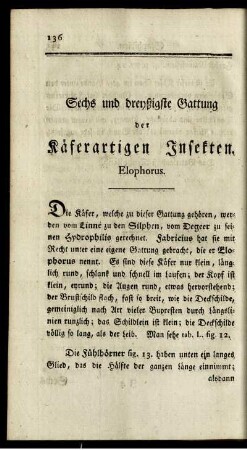 Sechs und dreyßigste Gattung der Käferartigen Insekten. Elophorus.