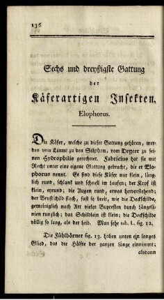 Sechs und dreyßigste Gattung der Käferartigen Insekten. Elophorus.