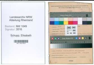 Entnazifizierung Elisabeth Schupp , geb. 03.01.1913 (Lehrerin)
