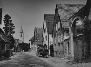 Archivfotografie "oberrhein_mengen_5039"