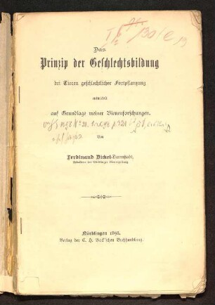 Das Prinzip der Geschlechtsbildung bei Tieren geschlechtlicher Fortpflanzung : entwickelt auf Grundlage meiner Bienenforschungen