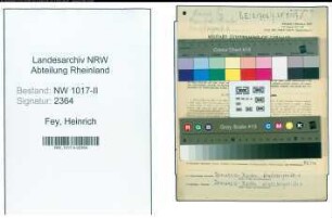 Entnazifizierung Heinrich Fey , geb. 15.09.1883 (Drechsler)