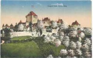 Ansicht von Schloss Burg