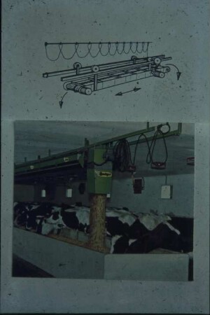 Fotografie: Fütterungstechnik, Futtertisch, Förderband