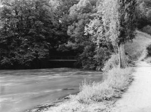 Hegau. Aachquelle (Donauwasser der Versickerung im Jurakalk von Immendingen)